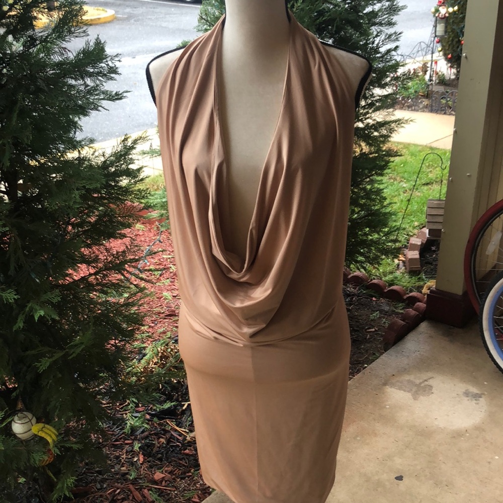 Fashion Nova Dress
